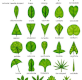 joburi dendrologie
